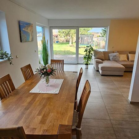 Sehr Schoenes Und Grosses Haus In Dresden - Partys Und Andere Feierlichkeiten Sind Wegen Eventueller Laermbelaestigung Nicht Gestattet Eksteriør bilde